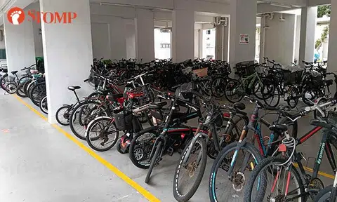 Tampines bikes 
