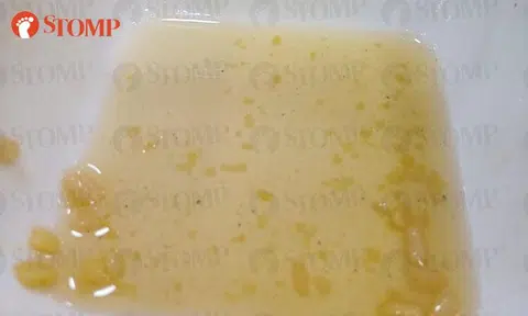 Koufu says dark particles in dessert are brown sugar residue, but diner still believes they are ants