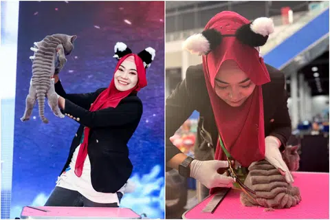 Singapore cat groomer places third in elite Chinese grooming competition