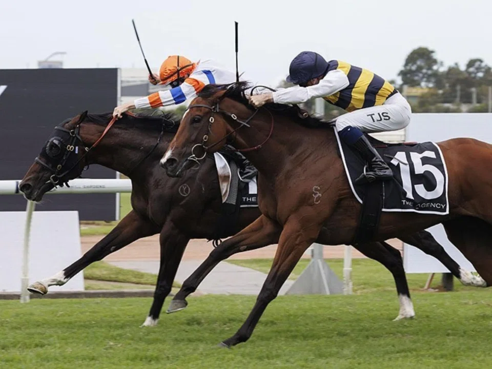 Veight (Damian Lane) finding plenty on the inside as he staves off Lady Laguna's (Tyler Schiller) determined run on the outside to narrowly claim the Group 1 George Ryder Stakes (1,500m) at Rosehill on March 23, 2024.
