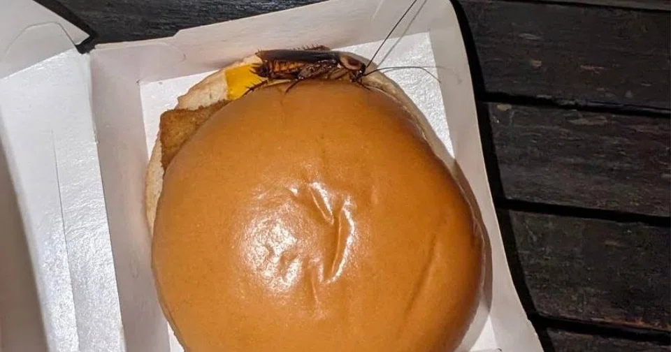 Filet-O-Fish, tartar sauce, burger disappointment