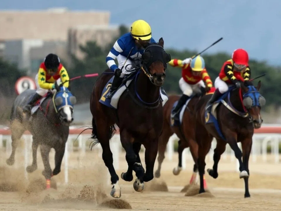 Fantastic Value (Seo Seung-un) claiming the first leg of the Triple Tiara, the Luna Stakes (1,600m) at Busan racecourse on March 30. She went on to win the second leg, the Group 2 Korean Oaks (1,800m) at the same track on May 4. She will win the...