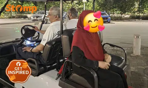 75-year-old grandma's first trip to Jurong Lake Gardens turns scary — but security officers come to her aid