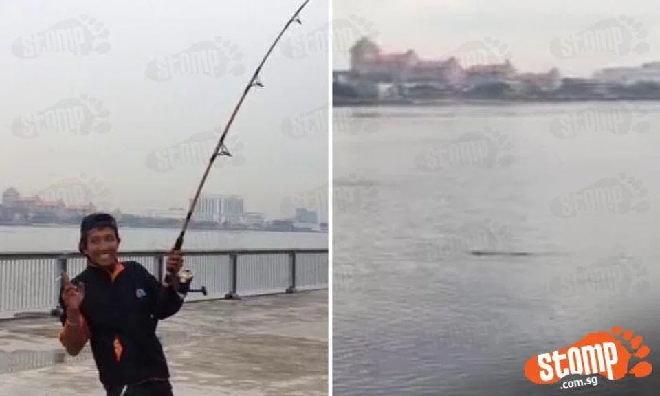 Guy reels in fishing line with all his might -- to catch 3-metre crocodile at Woodlands Waterfront