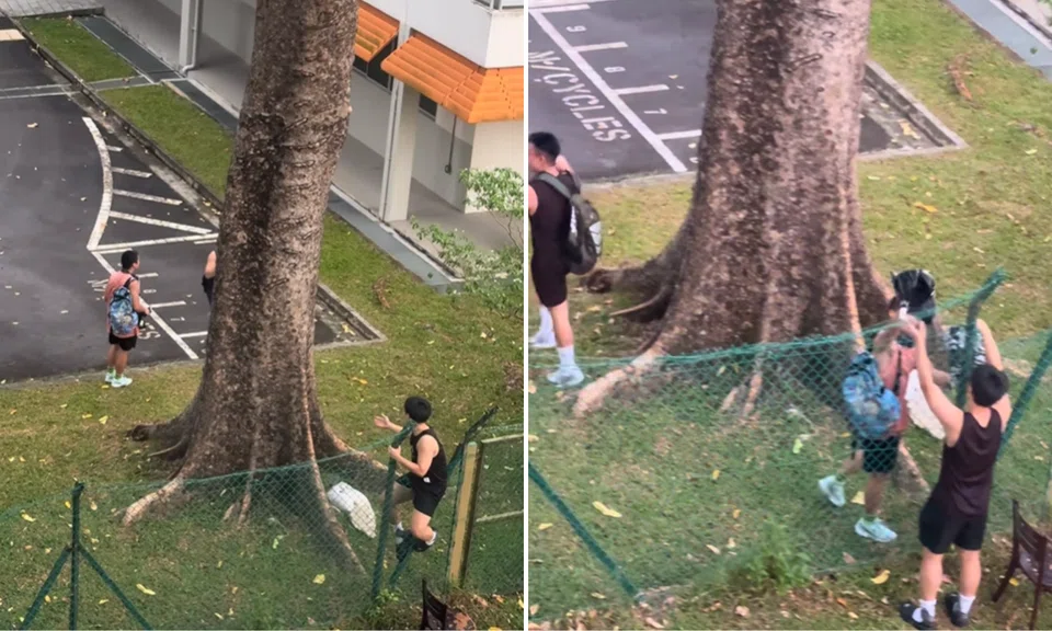 The youths were seen climbing over the fence.