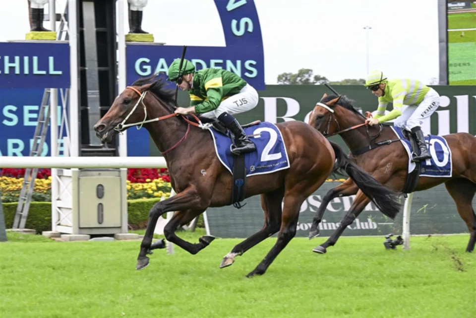 This year's Group 1 Champagne Stakes (1,600m) is wide open with the Hawkes family bidding for a fourth victory with Group 3 Baillieu Stakes (1,400m) winner Nepotism.