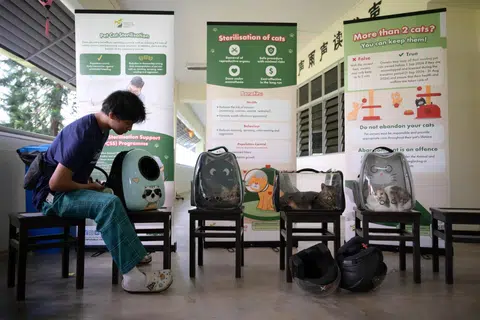 A cat microchipping drive held at Bukit Merah Secondary School on Feb 8.