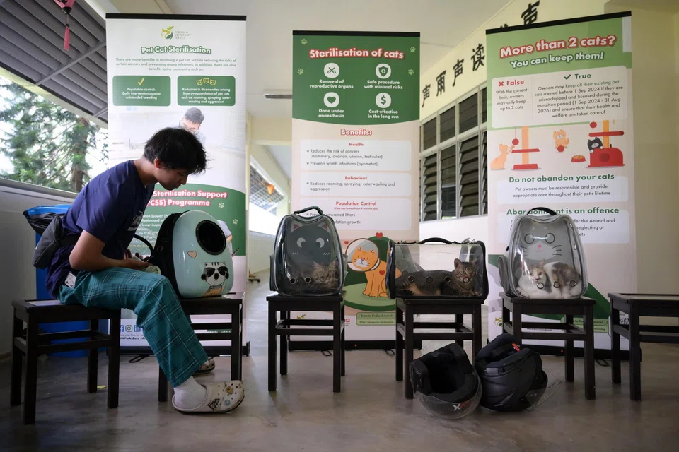 A cat microchipping drive held at Bukit Merah Secondary School on Feb 8.