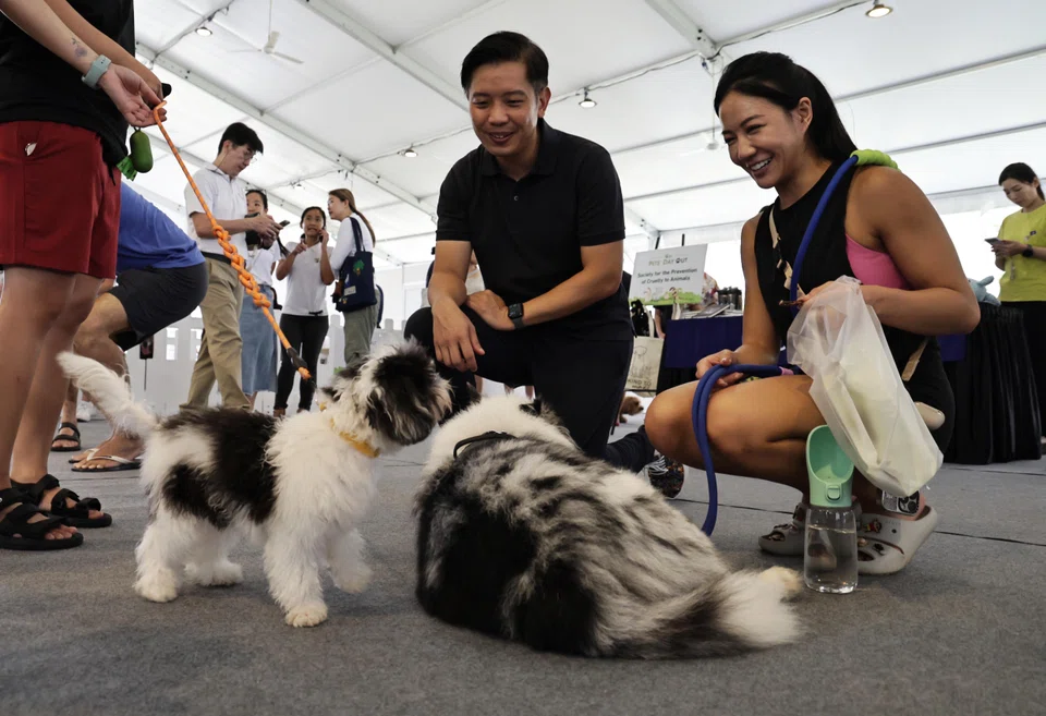 Minister of State for National Development and Trade and Industry Alvin Tan interacting with dogs and their owners during the Pets’ Day Out event at Tampines Boulevard Park on July 26.
