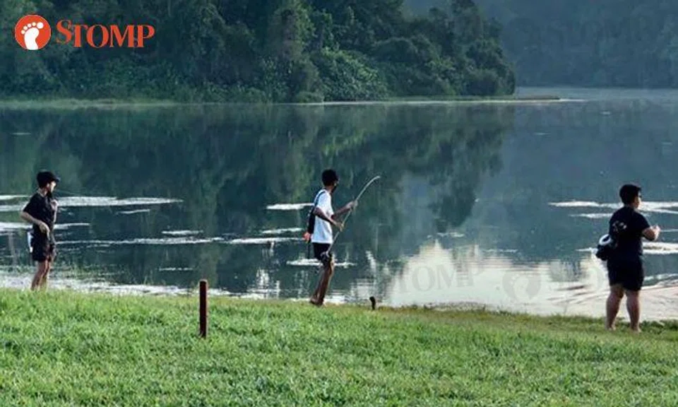 Boys fishing at MacRitchie Reservoir can't tell between essential and recreational activity