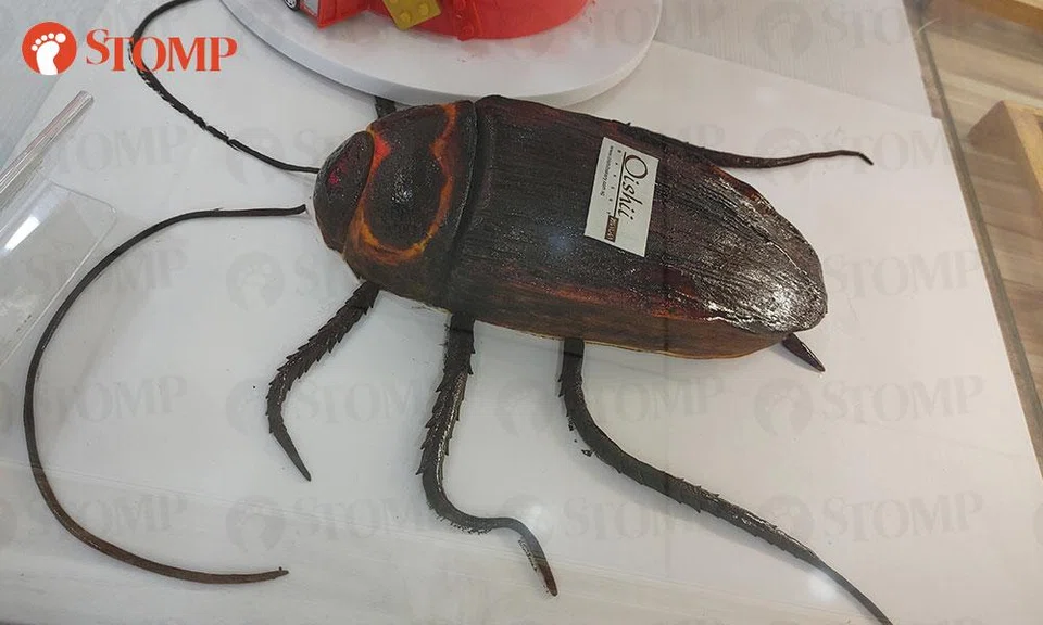 cockroach cake west plaza oishii bakery