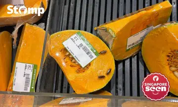 Shopper finds cockroach nymphs crawling on pumpkin at Cold Storage Pasir Ris Mall