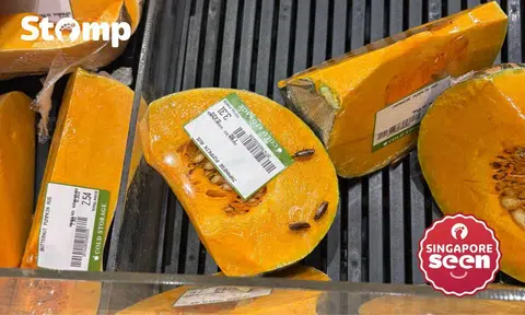 Shopper finds cockroach nymphs crawling on pumpkin at Cold Storage Pasir Ris Mall