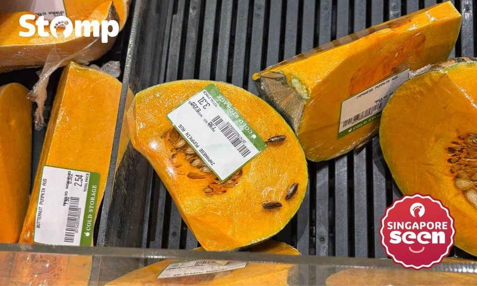 Shopper finds cockroach nymphs crawling on pumpkin at Cold Storage Pasir Ris Mall