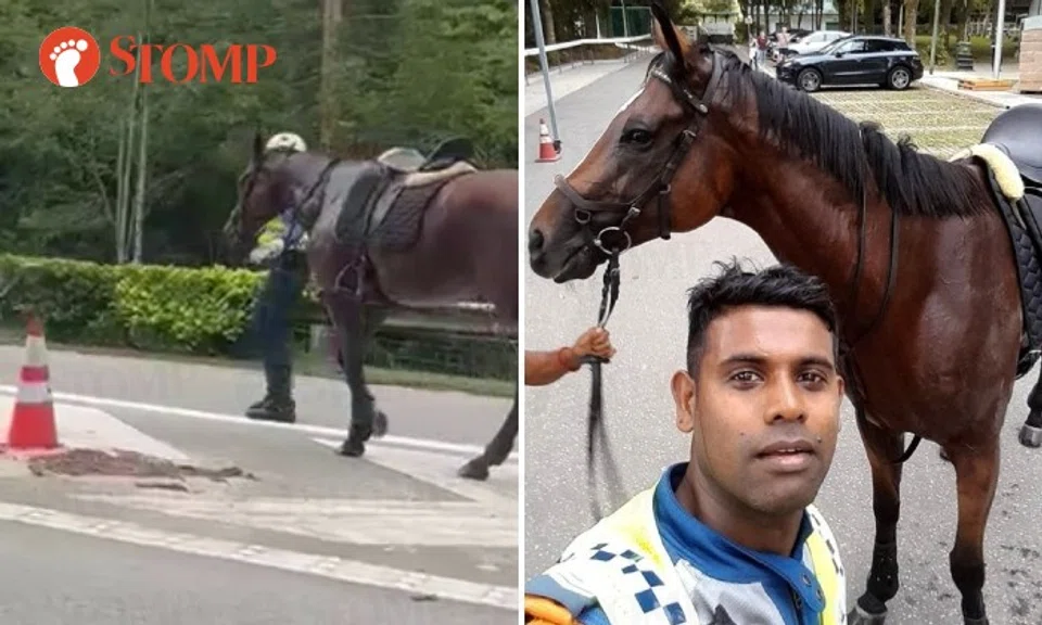 Stomper Sam shared a 16-second video showing SGT (APF) Uva walking with the horse on the road.
