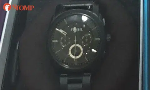 $100 reward offered for whoever returns Fossil watch lost at Punggol Park