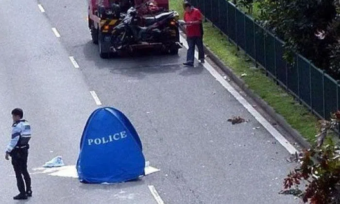Biker killed on West Coast Highway while avoiding tree branch | STOMP