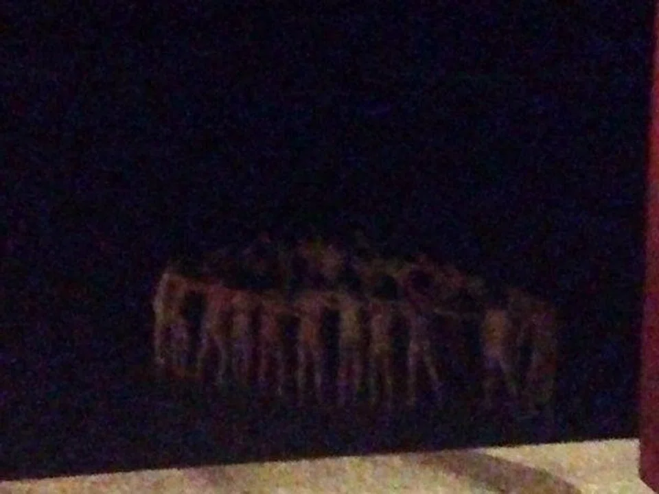 'Chinese tourists' slammed for frolicking naked on Thai beach -- but they turn out to be Japanese