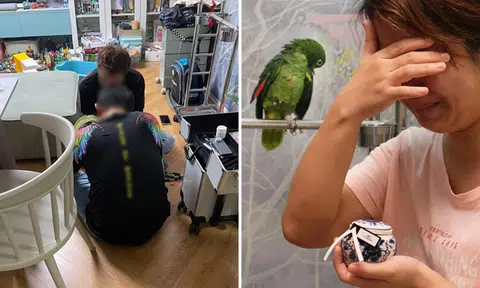 Woman seeking justice after pet parrot screams in pain during grooming session and later dies