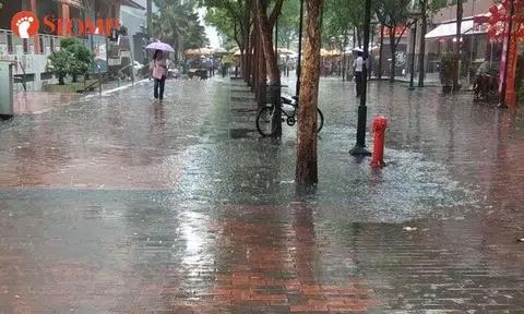 Heavy rain causes ponding at Albert Centre Market & Food Centre 