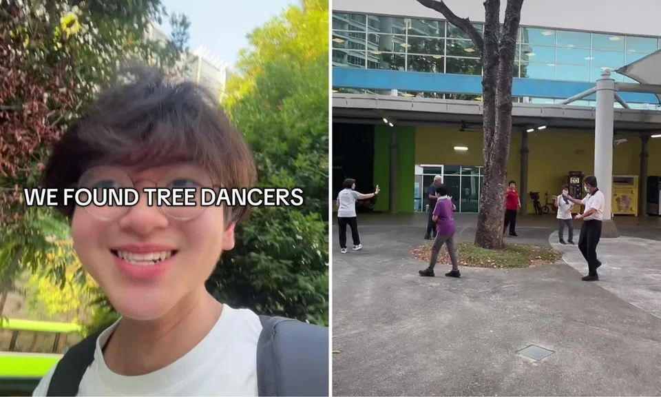 tree dancers outside public library qigong