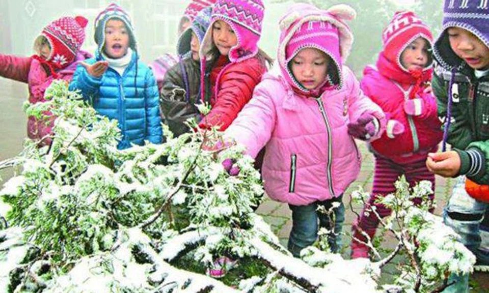 Abnormal cold wave in Taiwan leaves 49 dead