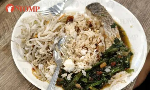 'Insane' to pay $9 for cai fan with '2 mouthfuls' of fish costing $6 at Hougang foodcourt: Stomper