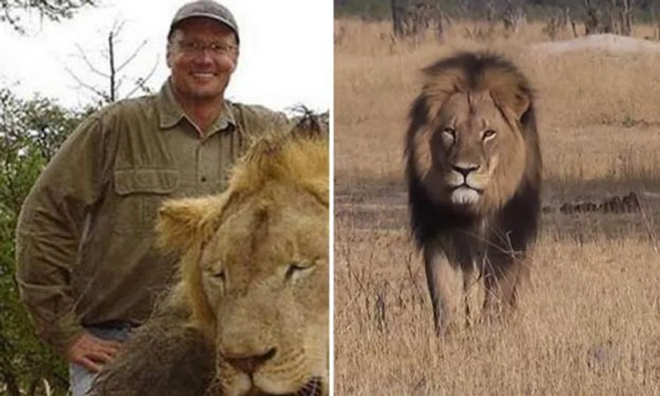 Internet vows to hunt down US tourist who shot and killed iconic lion in Zimbabwe