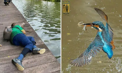 Mr Shahrul braved muddy banks, risking his gear, just to capture the common kingfisher at Jurong Eco-Garden.