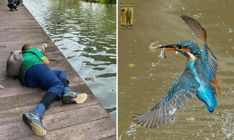 Mr Shahrul braved muddy banks, risking his gear, just to capture the common kingfisher at Jurong Eco-Garden.