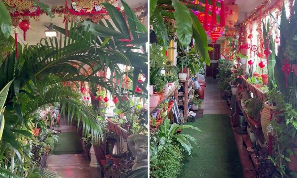 Resident shows off 'gardens by the longkang' after assuring town council he will keep corridor clear