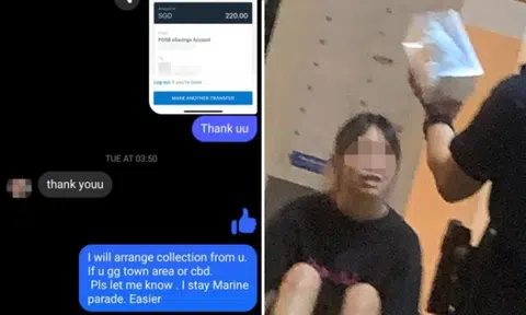Woman, 37, calls cops after paying seller on Facebook $220 for Labubu toy that turns out to be fake
