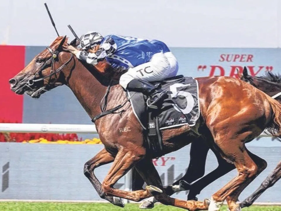 Vauban (Tim Clark) storming home to just deny Arapaho (Rachel King, obscured) in the Group 3 Sky High Stakes (2,000m) on March 15. He will contest the Group 1 Queen Elizabeth Stakes (2,000m) at Randwick on April 12.
