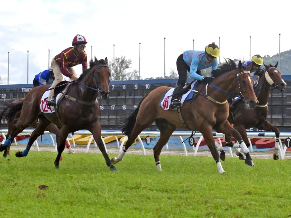 Top Field (Andre da Silva, blue) and Super Salute (Fikri Ismail, burgundy), run 1-2 at the barrier trials at Sungai Besi on March 11. 