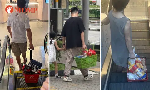 People spotted carrying supermarket basket out of store: Is it to avoid paying for plastic bags?