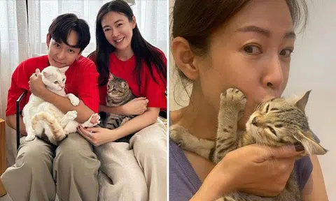 Jessica Liu and Jeremy Chan go all out with CCTV cameras and AirTags for their pet cats