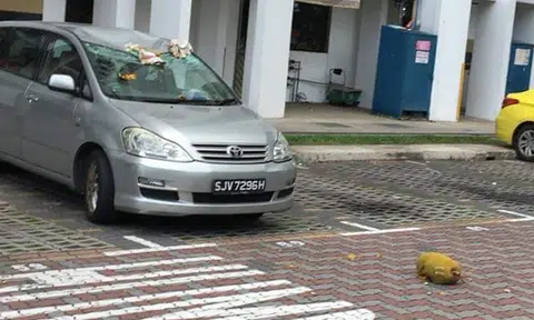 Smashed windscreen as car gets jack'ed in Ghim Moh carpark
