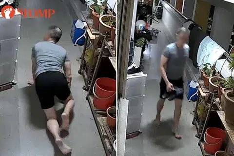 Man caught on camera crawling outside Yishun HDB corridor charged with theft