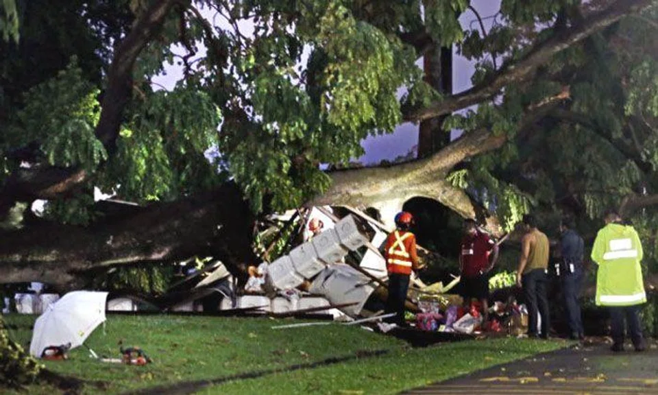 14 people celebrating party at Sembawang Park taken to hospital after tree falls on shelter