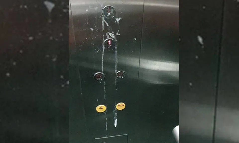 Photo: Singapore Police Force