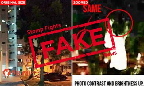 'Pontianak' on tree at Bukit Batok? Here's why Stomp thinks it's not