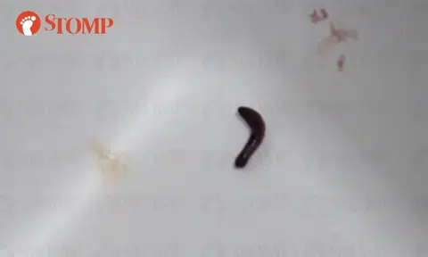 Bubble tea missing from woman's Collin's order, but she finds worm wriggling in salad instead