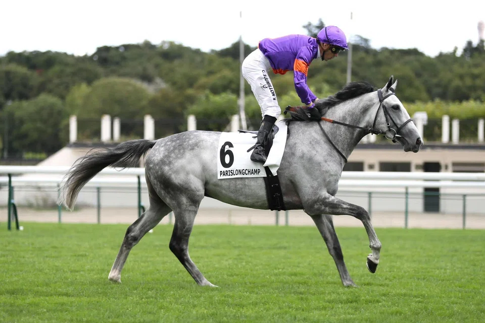 Presage Nocturne (Christophe Soumillon) finished third to Sevenna's Knight in the Group 3 Prix Gladiateur (3,100m) at ParisLongchamp on Sept 8, 2024. On May 25, the pair meet again in the Group 1 Prix Vicomtesse Vigier (3,100m) which Sevenna's Knight...