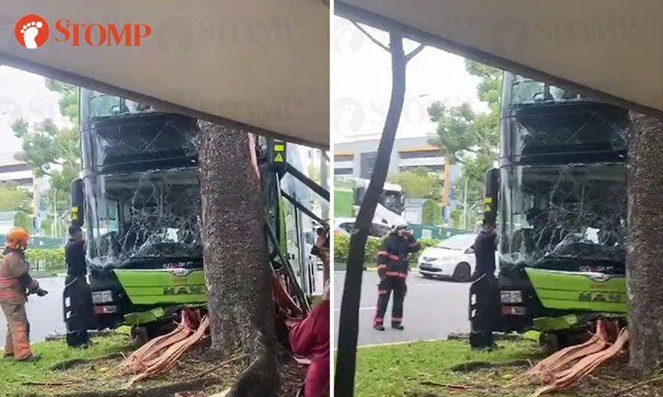 SMRT bus driver, 58, dies after crashing bus into tree at Woodlands