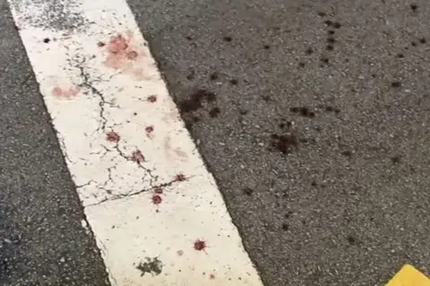 An eyewitness believed the woman was a tourist.