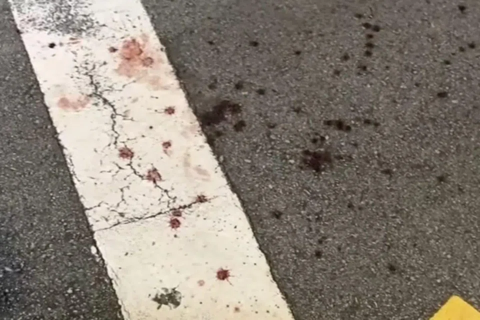 An eyewitness believed the woman was a tourist.