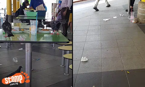 Pigeons feast on uncleared food at Eunos hawker centre -- where litter is aplenty