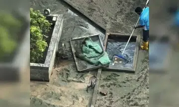 fish deaths, pond cleaning, NParks