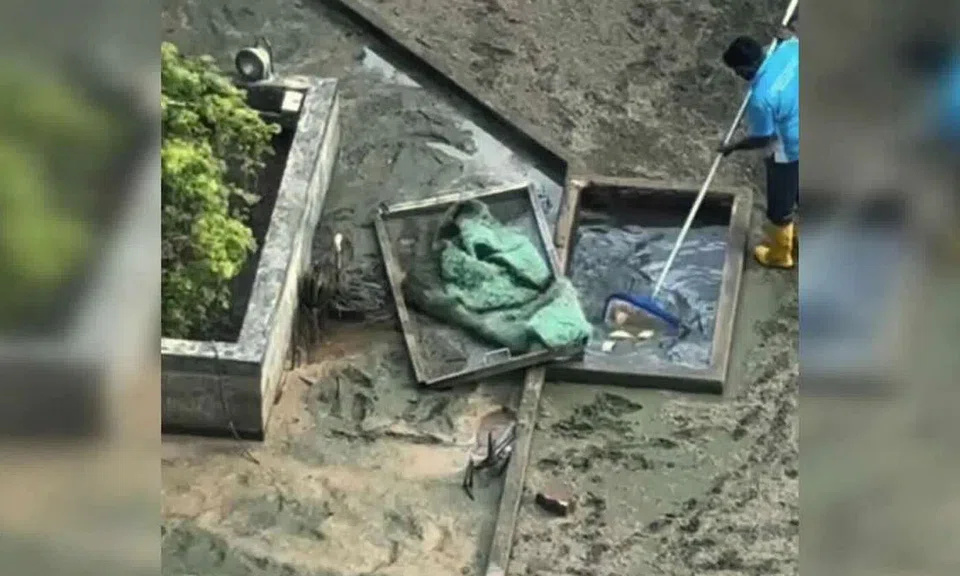 fish deaths, pond cleaning, NParks
