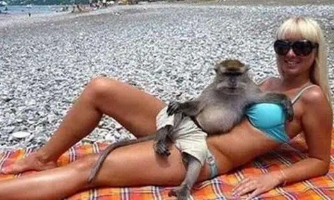 You haven't seen weird till you check out these bizarre photos from around the world